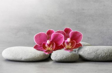 Gri arkaplanda spa taşları ve orkide çiçeği