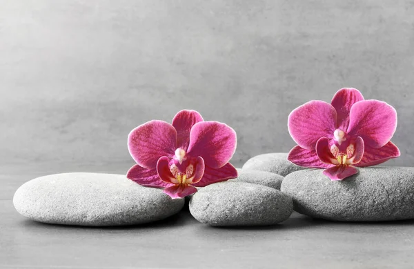Спа камені і квітка орхідеї на сірому фоні — стокове фото