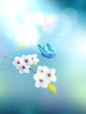 Doğanın arka planında çiçek ağacı var. Bahar çiçekleri. Bahar arkaplanı