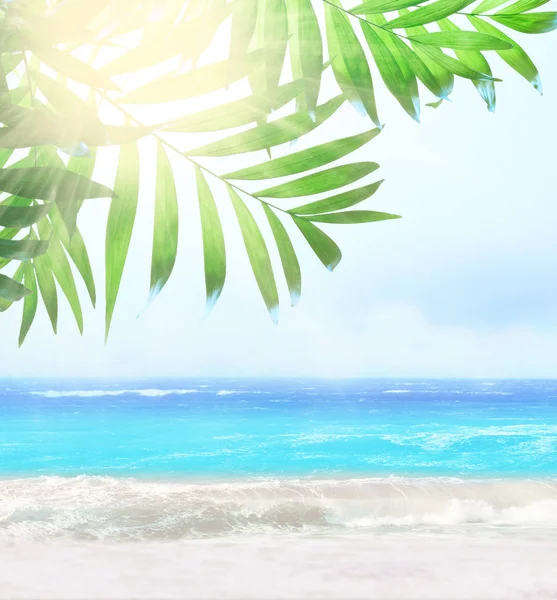 Foglia di palma e spiaggia tropicale. — Foto Stock
