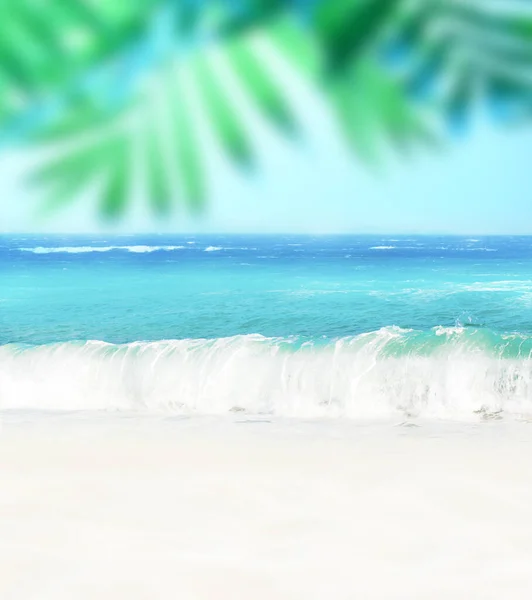Palmiye yaprağı ve tropik plaj. — Stok fotoğraf