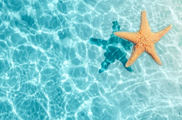 Étoile de mer sur la plage d'été dans l'eau de mer. Contexte d'été . — Photo
