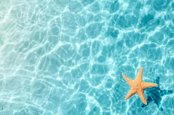 Estrella de mar en la playa de verano en agua de mar. Fondo de verano . — Foto de Stock