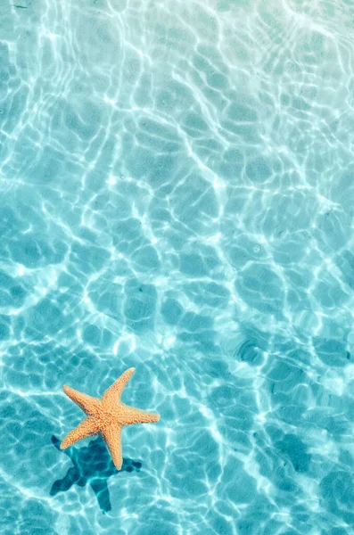 Морские звезды на летнем пляже в морской воде. Летний фон . — стоковое фото