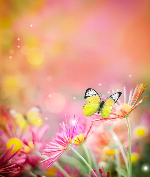 Prachtige Vlinder Mooie Bloemen Zomer Landschap — Stockfoto