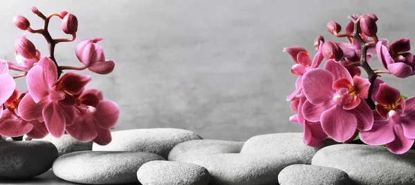 Композиція Спа Кам Яними Орхідейними Рожевими Квітами Сірому Фоні Концепція — стокове фото