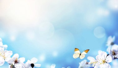 Doğanın arka planında çiçek ağacı ve kelebek. Bahar çiçekleri. Bahar Arkaplanı.