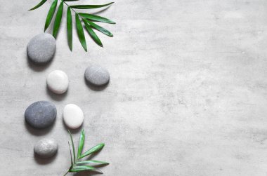Gri kaplıca arka planı, spa konsepti, palmiye yaprakları ve gri taşlar, üst görünüm