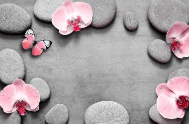 Gri arka planda spa taşları ve pembe orkide ve kelebek. Spa konsepti. Üst görünüm.