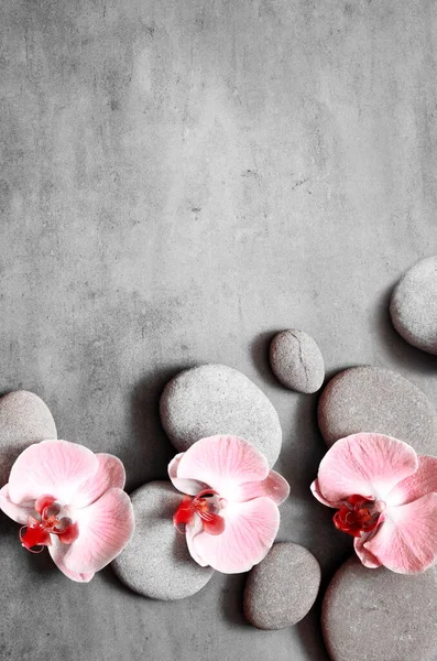 Spa Stones Pink Orchid Grey Background — Stock Photo, Image