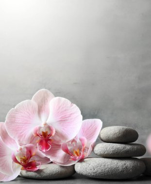 Gri arkaplanda orkideli spa taşları. Spa konsepti.