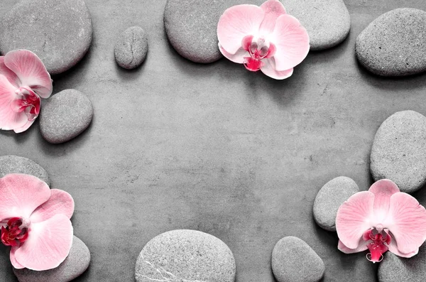 Spa Stenen Roze Orchidee Grijze Achtergrond — Stockfoto