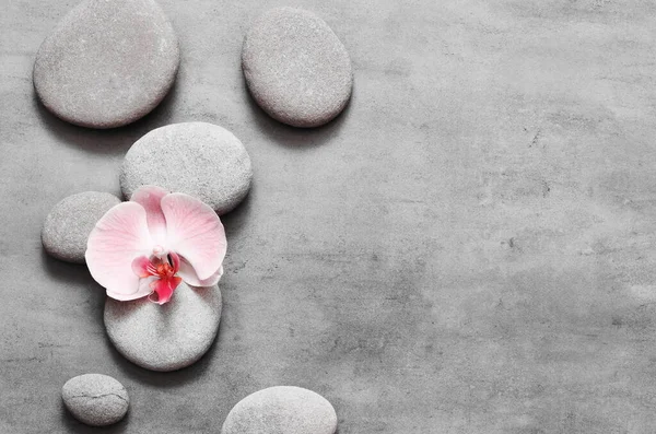 灰色背景的矿泉石和粉色兰花 — 图库照片
