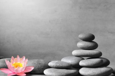 Gri arka planda gri masaj taşları ve nilüfer çiçeği yığını. Spa konsepti.