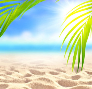 Yaz kumsalı geçmişi. Palmiye yaprağı, deniz ve gökyüzü. Yaz konsepti