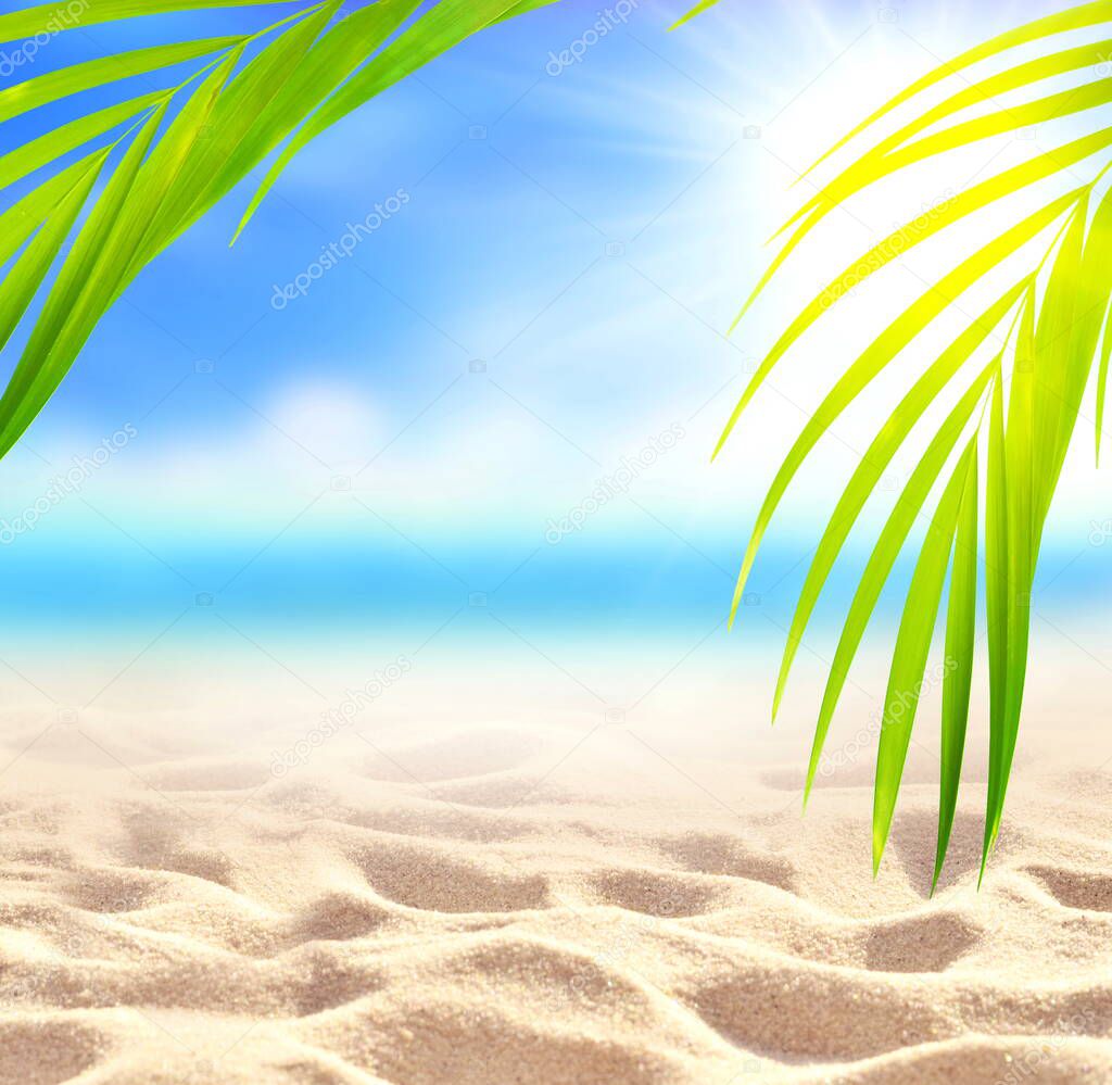 Summer sand beach background. Palm leaf, sea and sky. Summer concept