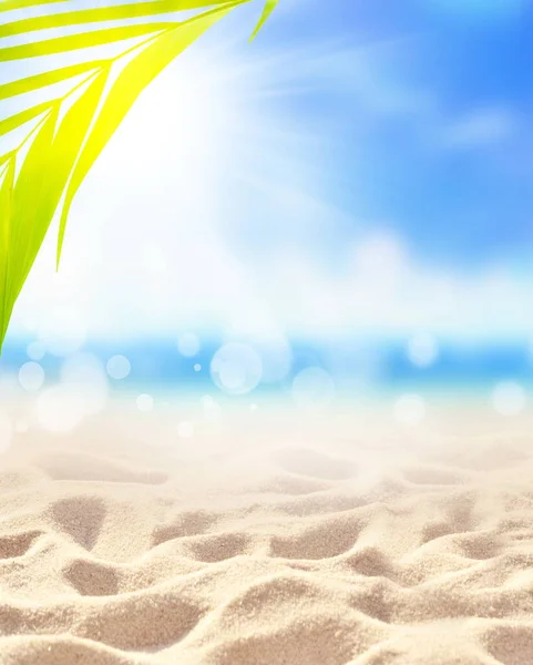 夏季沙滩背景 棕榈叶 大海和天空 夏季概念 — 图库照片