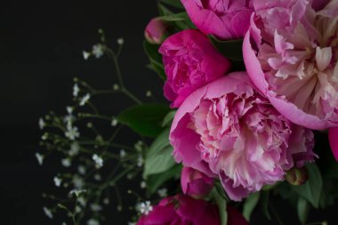 Peonies çiçekler parlak