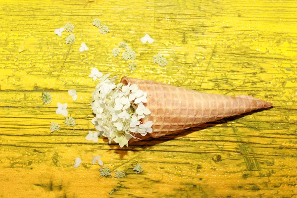 White flower in ice cream cone on yellow background. Minimal con — Stock Photo, Image