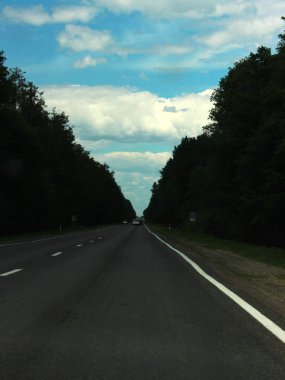 Sisli düz Redwood Otoban Kuzey California, Amerika Birleşik
