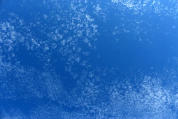 Nuages à motifs de fourrure de girafe sur le ciel bleu — Photo