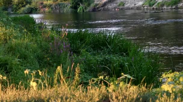 La playa cubierta es un río de movimiento lento — Vídeos de Stock