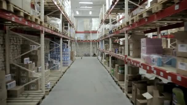 Camera Movement Warehouse Household Chemicals — Stock Video