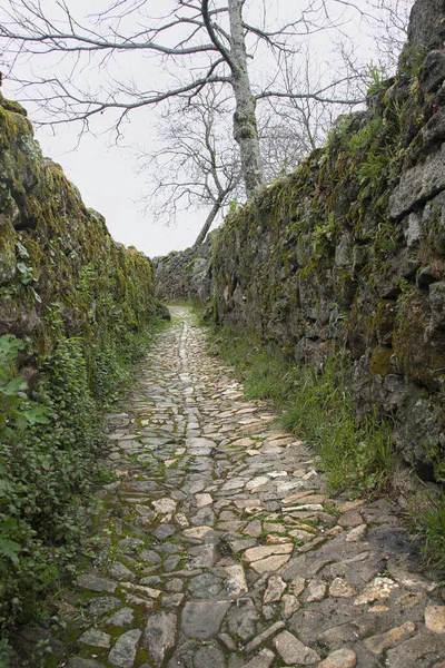 The pathway between walls — Stock Photo, Image