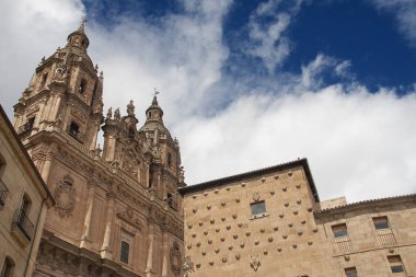 Evi kabuklar ve clerecia