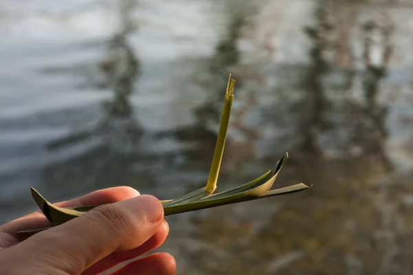 Hračky přírodní loď — Stock fotografie