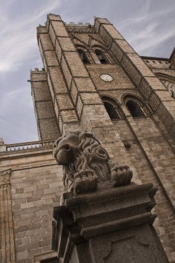katedral içinde bir aslan