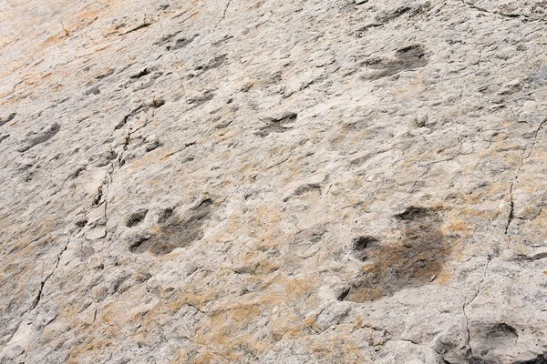 Pista de dinossauros — Fotografia de Stock