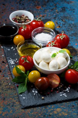 Mozzarella peyniri, taze sebze ve baharat için hazırlık salata