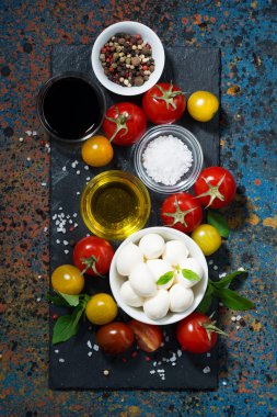 Mozzarella peyniri, taze sebze ve baharat karanlık bir arka plan üzerinde