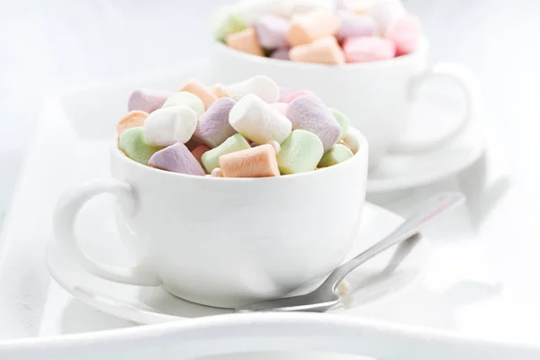 Cocoa with marshmallow in white cups — Stock Photo, Image