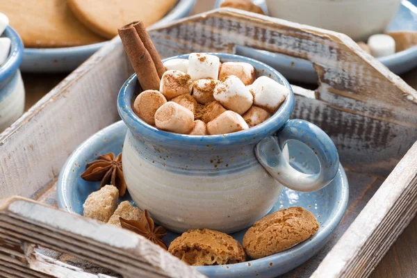 Cacau com marshmallows, canela e especiarias em uma bandeja de madeira — Fotografia de Stock