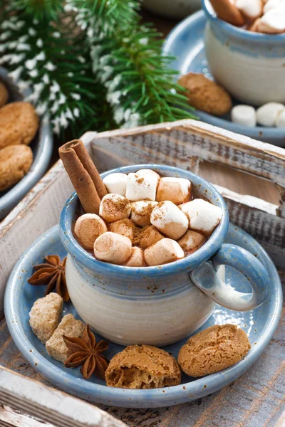 Würziger Kakao mit Marshmallows, Zimt und Keksen — Stockfoto