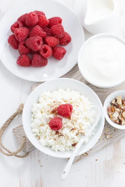 Buatan sendiri keju cottage dengan raspberry, susu dan yogurt — Foto Stok Gratis