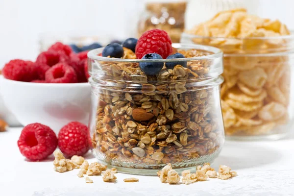 Produtos saudáveis para café da manhã, granola e bagas frescas — Fotografia de Stock