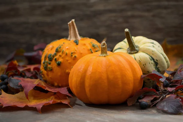 Composition with pumpkins and autumn leaves, closeup — Stock Photo, Image