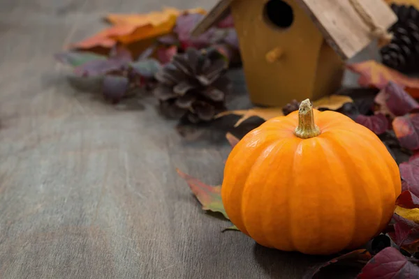 Fond en bois gris avec citrouille et feuilles d'automne — Photo