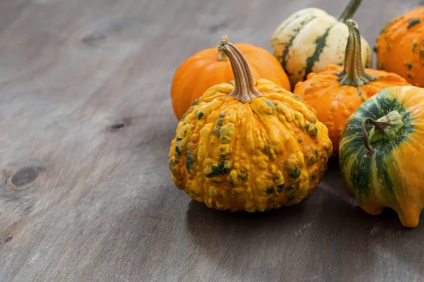 Pumpkins on a grey wooden background, horizontal — Stock Photo, Image
