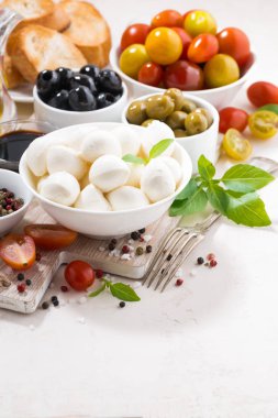 Beyaz arka plan üzerinde mozzarella salatası için malzemeler