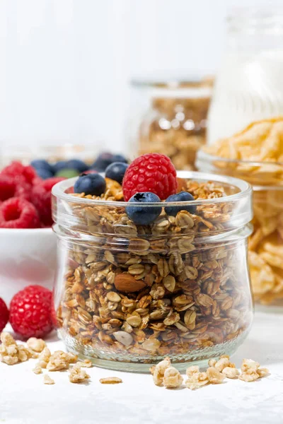 Hälsosamma produkter till frukost, müsli och bär — Stockfoto