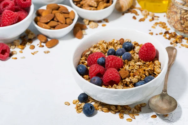Queijo cottage com granola e bagas frescas para o café da manhã — Fotografia de Stock