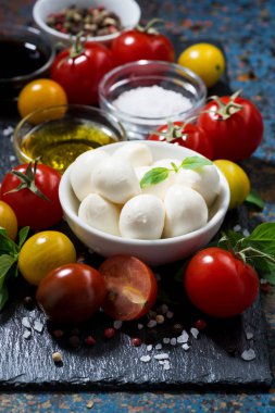 Mozzarella peyniri, taze sebze ve baharat karanlık bir arka plan üzerinde