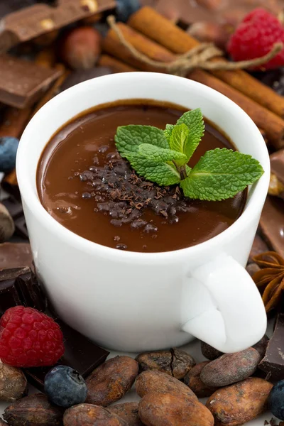 Warme chocolademelk met munt en ingrediënten, close-up — Stockfoto