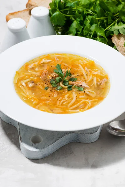 Sopa de pollo con fideos de huevo, vertical — Foto de Stock