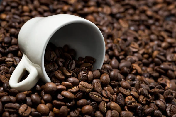 Xícara de café branco em grãos de café, foto conceito — Fotografia de Stock