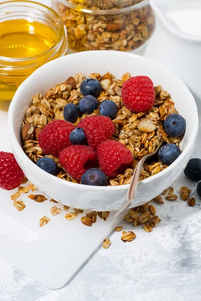 Fresh cottage cheese with granola and honey, vertical closeup — Stock Photo, Image